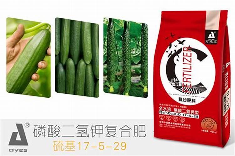 种瓜用什么肥料好