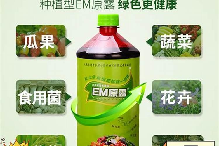 兰花用什么肥料最好？