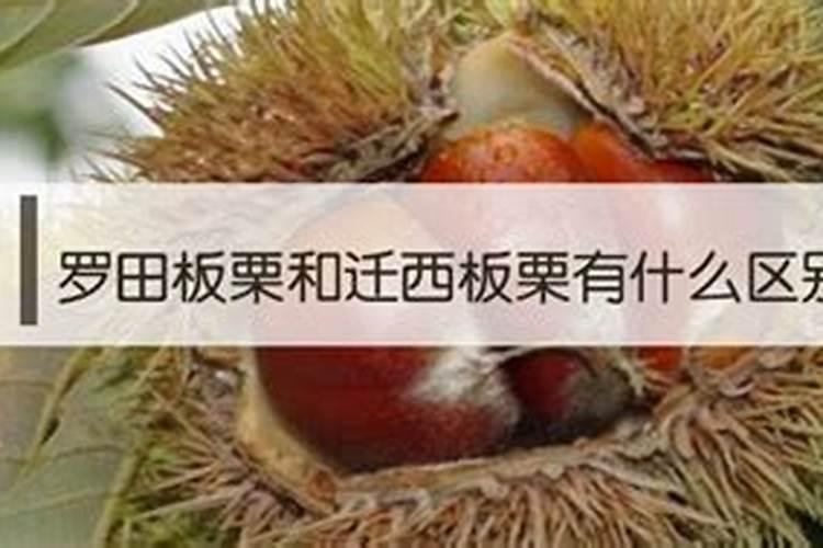一般施肥多少天能吸收(化肥施入土壤后多久被吸收)