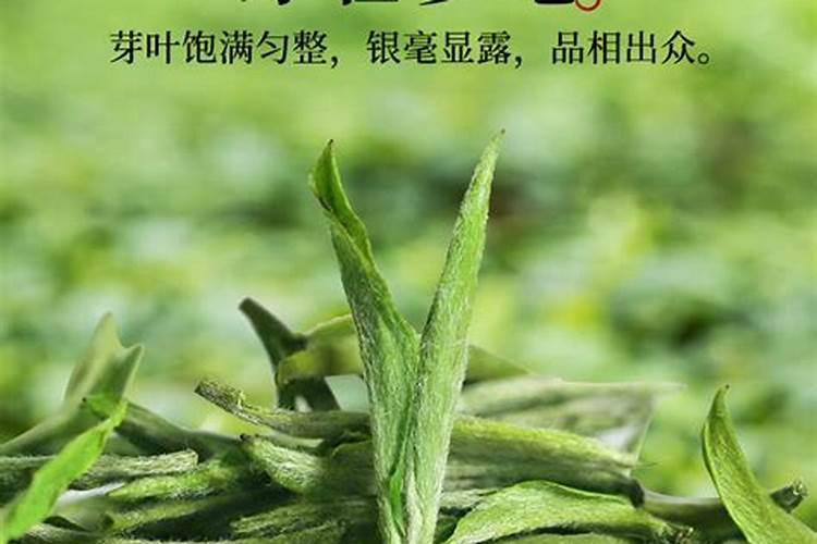 怎样给茶叶喷施叶面肥？ 敌百虫90%高效杀灭作物害虫小国家