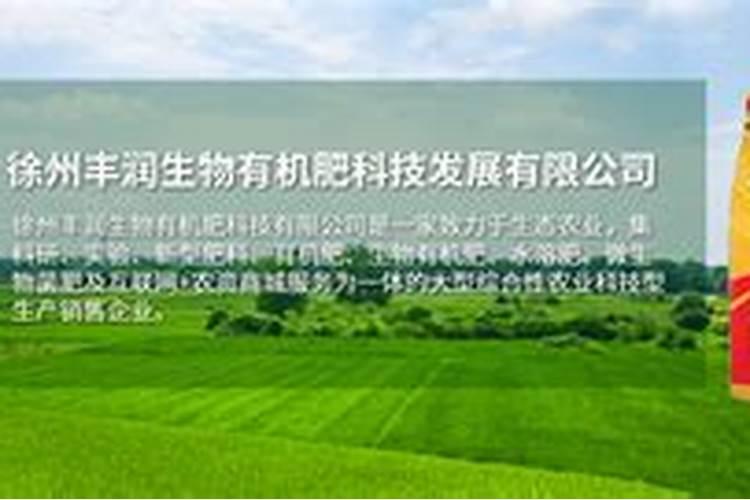 天脊16620硝酸钾水溶肥的批发价格是多少？
