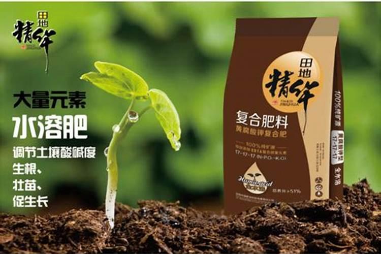 夏天想让沙漠玫瑰多开花要怎么养护