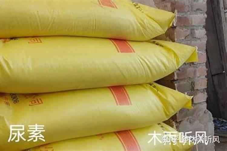 常见的氮肥有哪些 使用注意事项