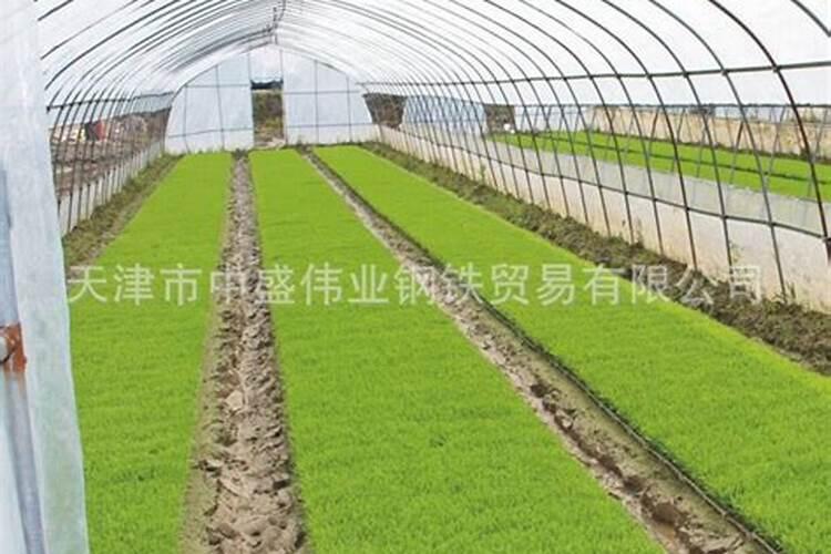 2011年撒可富水稻专用复合肥价格多少钱一吨