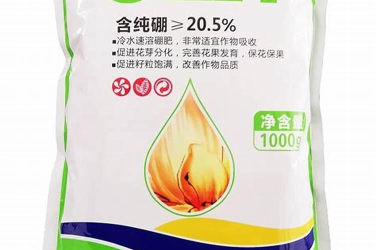 怎样施用硼肥防治小麦不稔症？