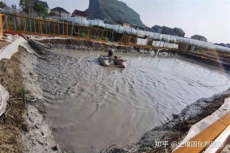 重过磷酸钙的优点及肥效和施用注意要点