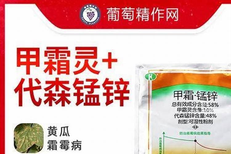 荔枝花期打什么药增加坐果率