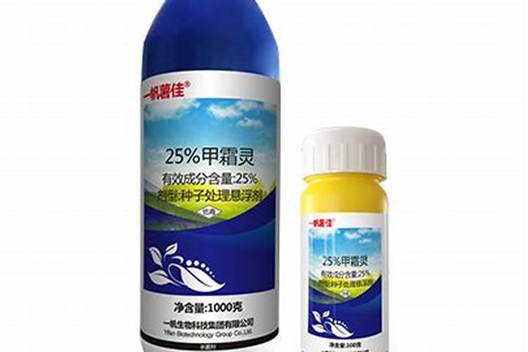 向日葵种植苗期管理注意事项 向日葵怎么养殖