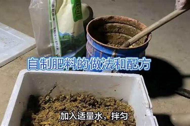 月季花用什么肥料？自制!