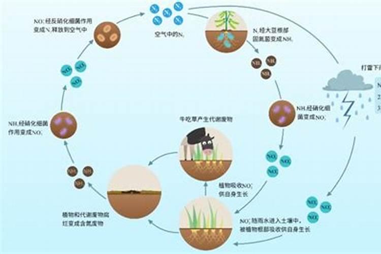 氮是怎么变成化肥的