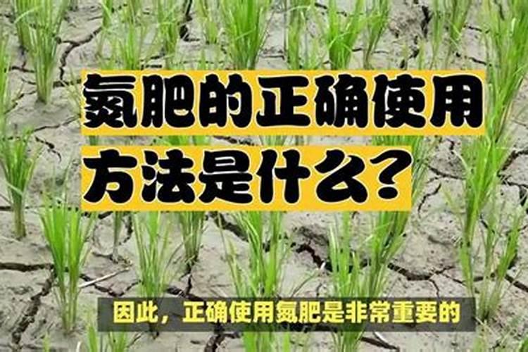 高氮肥料有哪些