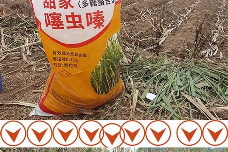 沱江的流域概况