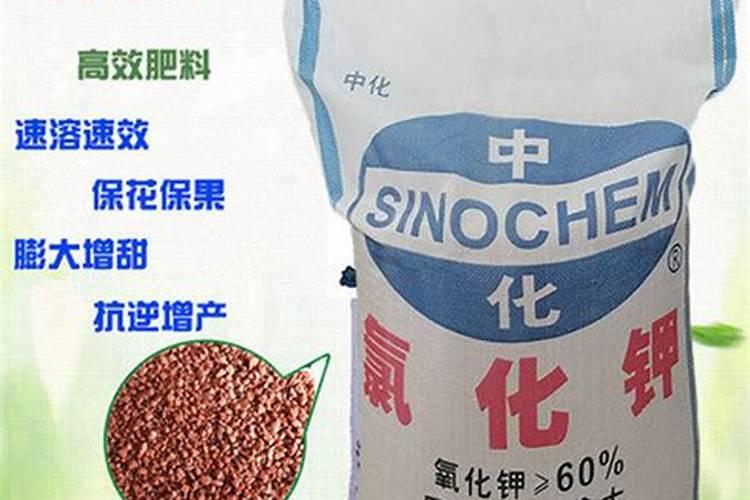 请问加拿大钾肥公司的运作模式