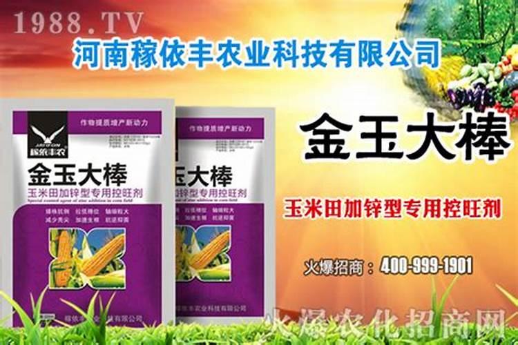 玉米追肥用尿素好还是复合肥好
