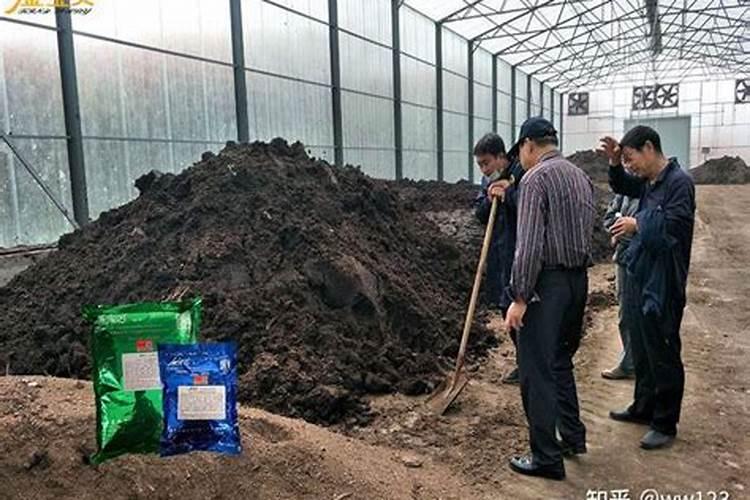 人粪便如何发酵成有机肥  家庭自制有机肥发酵方法大全