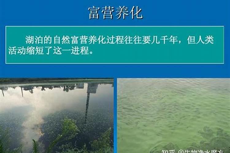 磷肥的主要作用有哪些？