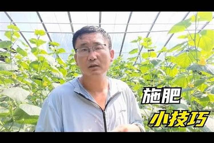 26.511.50天脊硝酸磷肥含有硝态氮吗？