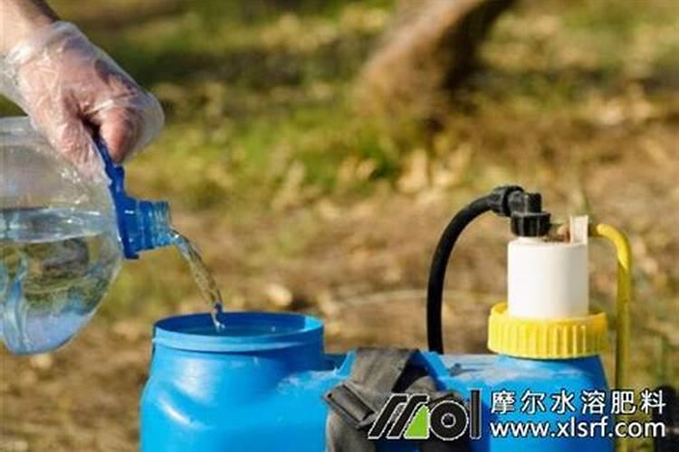 生根最快的肥料是什么呢？怎么使用呢？