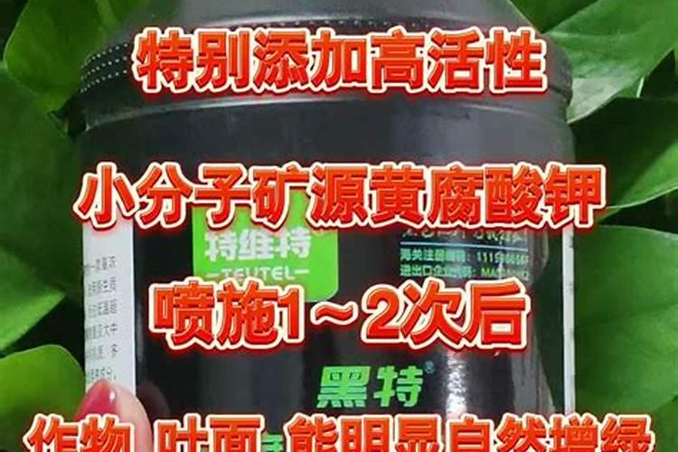 腐植酸叶面肥的效果及功能,腐植酸叶面肥使用时间