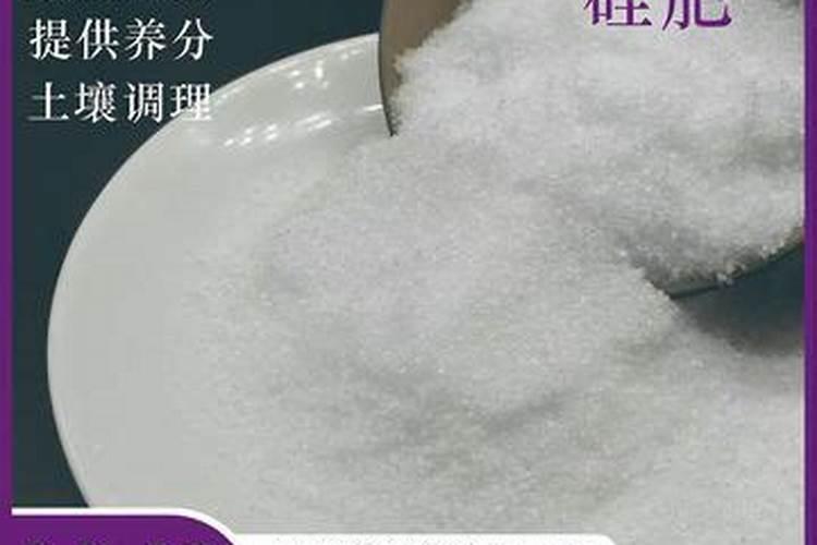 问专家,玉米叶面肥一周能喷两次吗