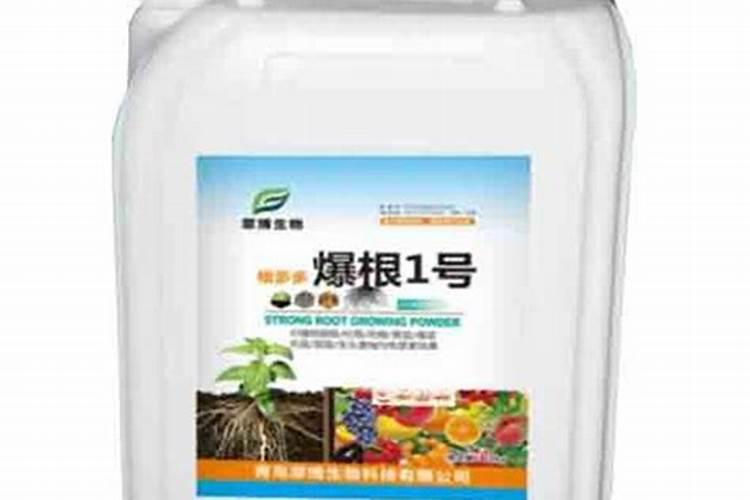 铁线莲什么时候用水溶肥 铁线莲用水溶肥最好的时间简述
