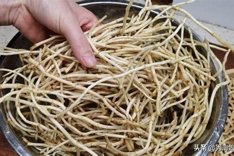 折耳根栽培技术