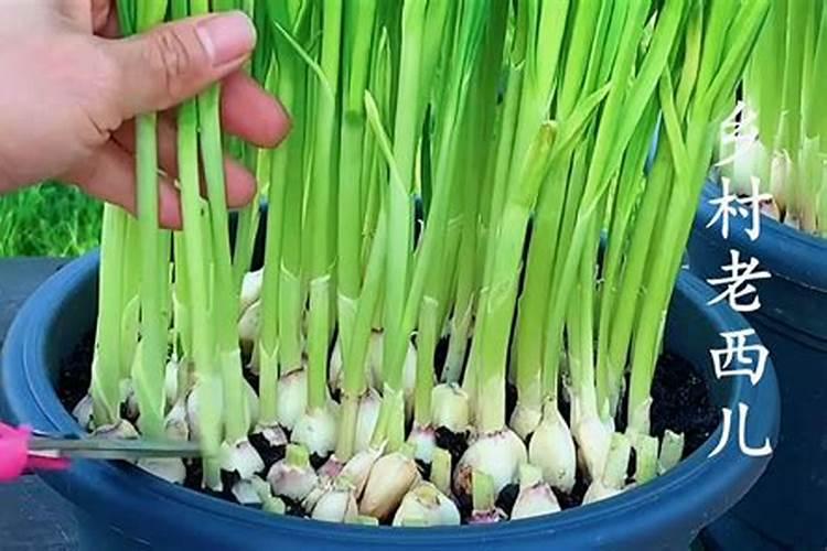 我想测定风化煤中的腐植酸,烘干时100摄氏度,对腐植酸的测定有影响么...