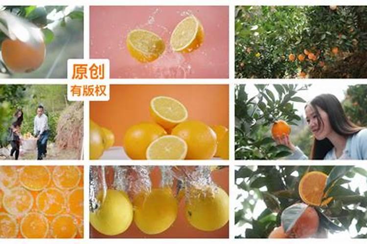 脐橙皮厚汁少什么原因