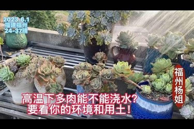 复合肥造粒工艺有哪些