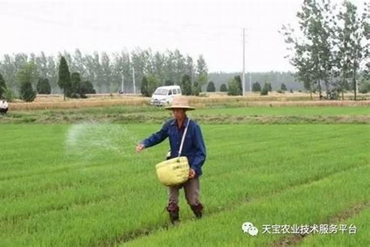 水溶肥和化肥的区别