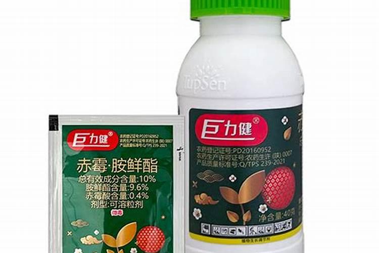 南京科技职业学院的历史沿革