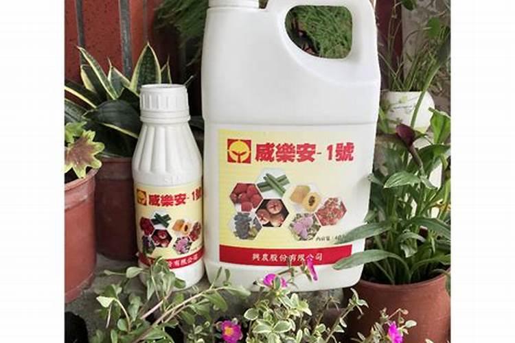 西红柿第一次冲平衡肥一亩地冲多少？