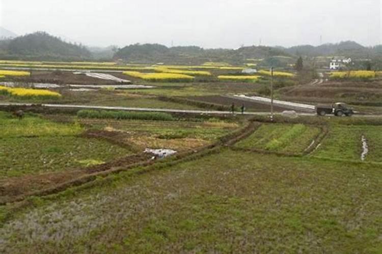200吨氮肥可以种多少亩土地