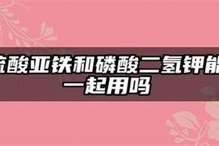 三角梅如何浇水和施肥