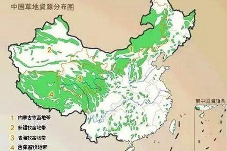 紫苏可以养在鱼缸里吗？