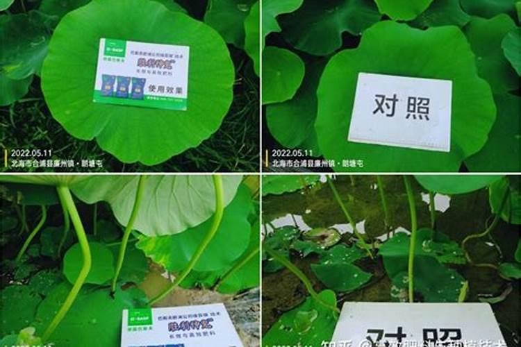 硅肥硅肥简介