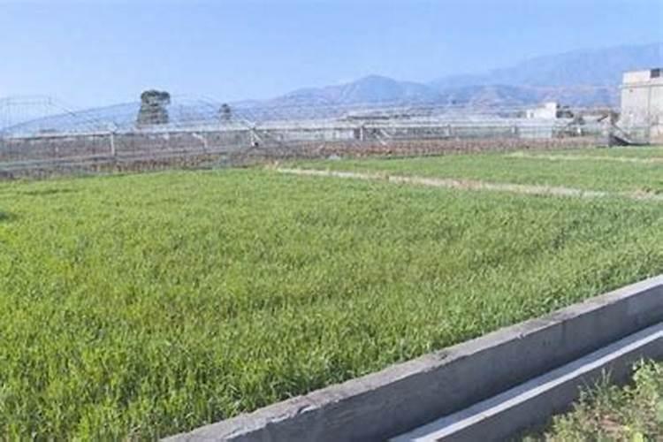 西昌市协和商场有限公司怎么样？