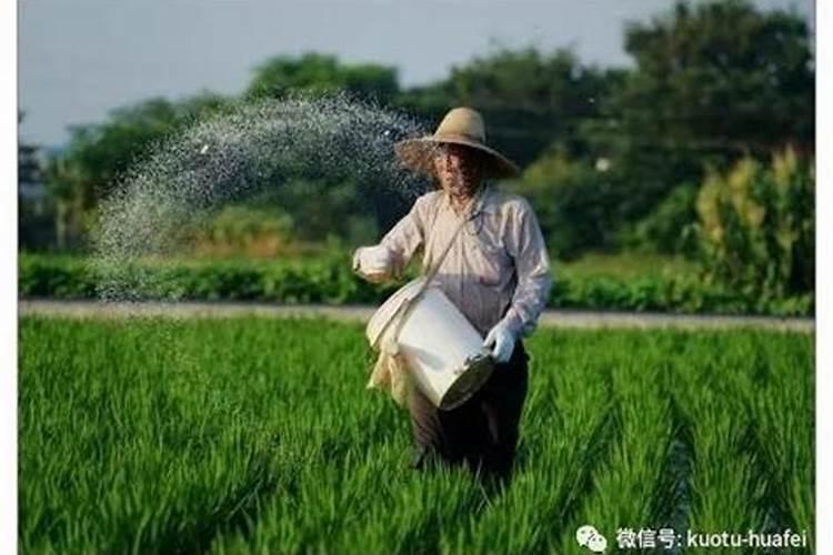 湖南磷肥多少钱一吨