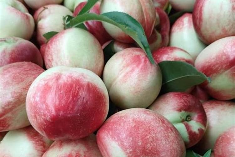 锌肥的作用及使用方法,能和磷酸二氢钾一起用吗