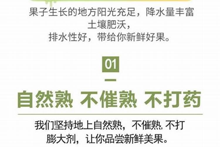 硒农业创始人