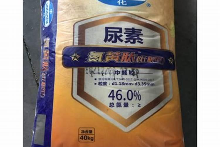 种植蔬菜上什么肥料最好