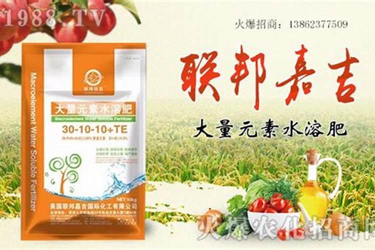 水溶肥多久能吸收