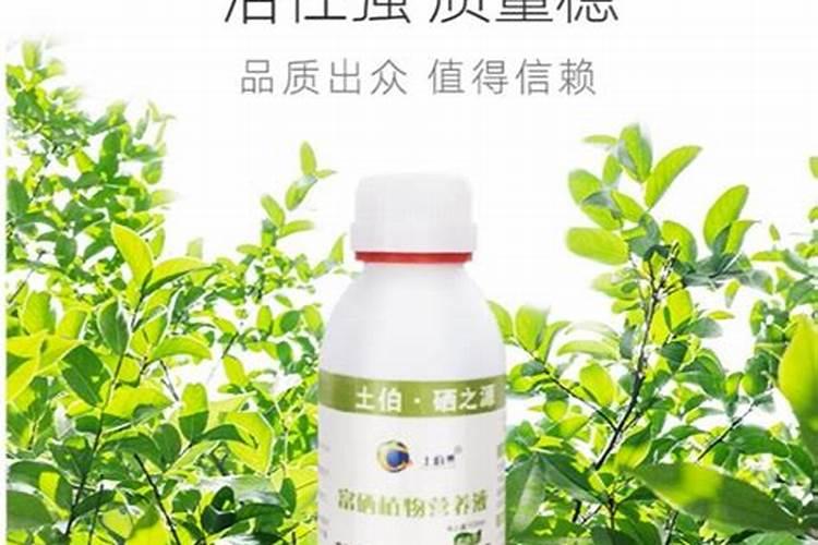 小麦灌浆期打什么叶面肥