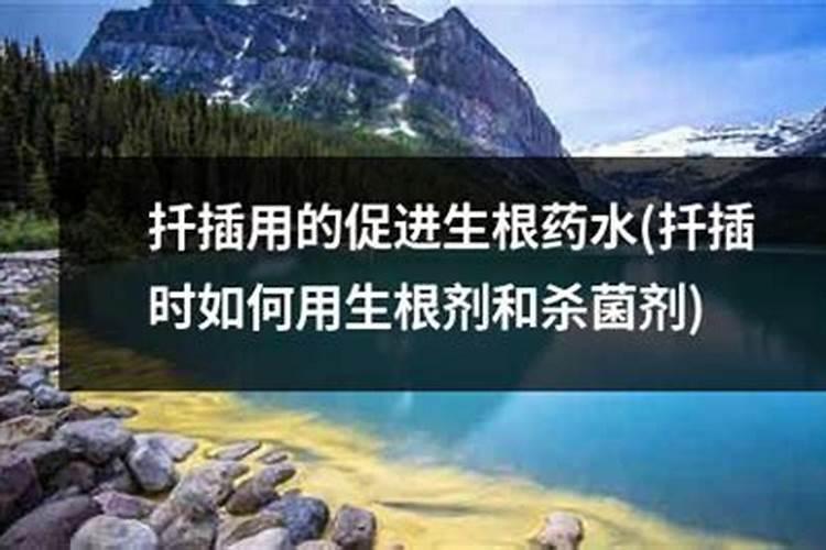 爱尔兰海鱼有多少品种