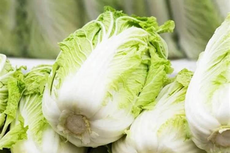 白菜施什么肥好