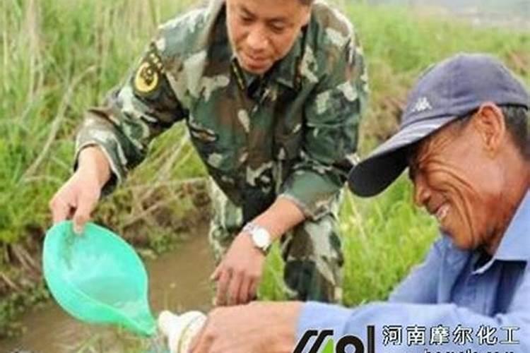 氮素液肥是什么肥