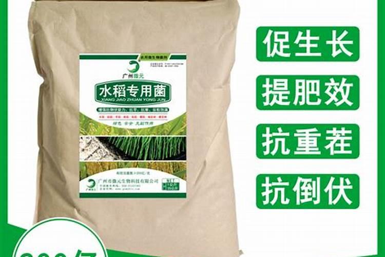 硫酸亚铁可以用来浇铁树吗