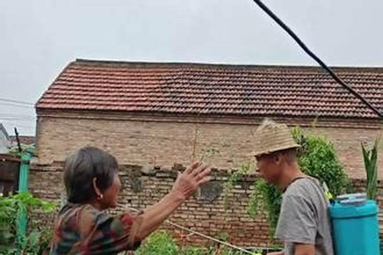 ...两种病好使。叶子老化打什么叶面肥好 可以用迷雾机打吗