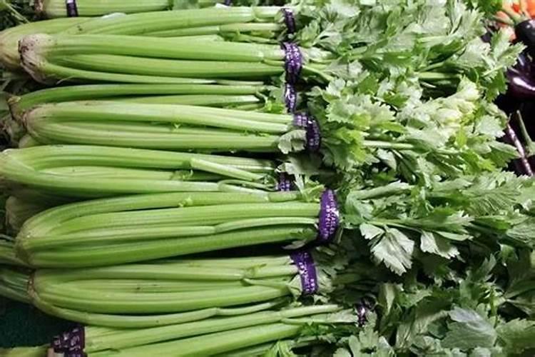 芹菜叶子黄了是缺少什么肥料 补救方法有哪些