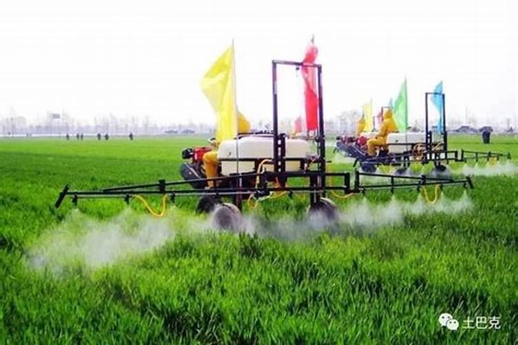 玉米什么时候喷控制矮化药好